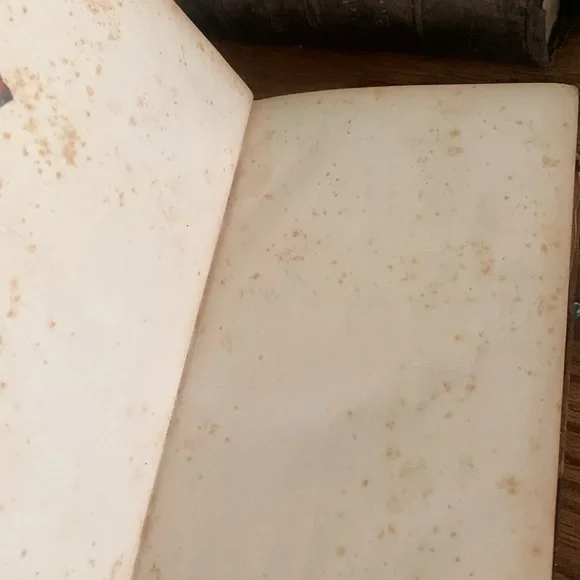 Tiffany and co antique book The Life of our lord and saviour Jesus Christ 218 - Picture 11 of 15